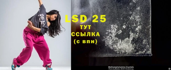 сатива Аркадак