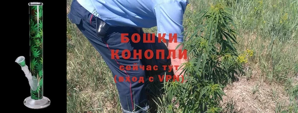 сатива Аркадак